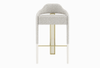 Modern Living Room Barchair, Luxury Barchair ，Retaurant Hotel Furniture 